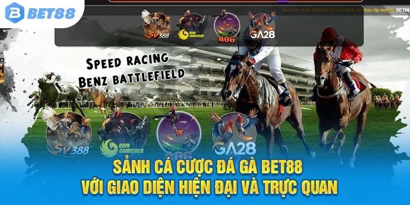 Sảnh cá cược Đá gà Bet88 với giao diện hiện đại và trực quan