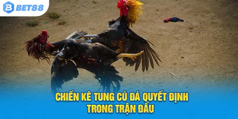 Chiến kê tung cú đá quyết định trong trận đấu tại Đá gà Bet88