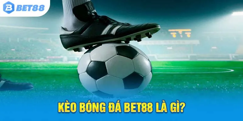 Hòa mình vào không khí bóng đá cuồng nhiệt tại Bet88