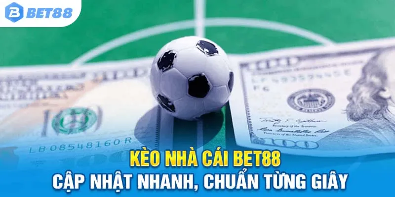 Tổng Hợp Kèo Nhà Cái Bet88 – Đa Dạng, Minh Bạch, Dễ Bắt
