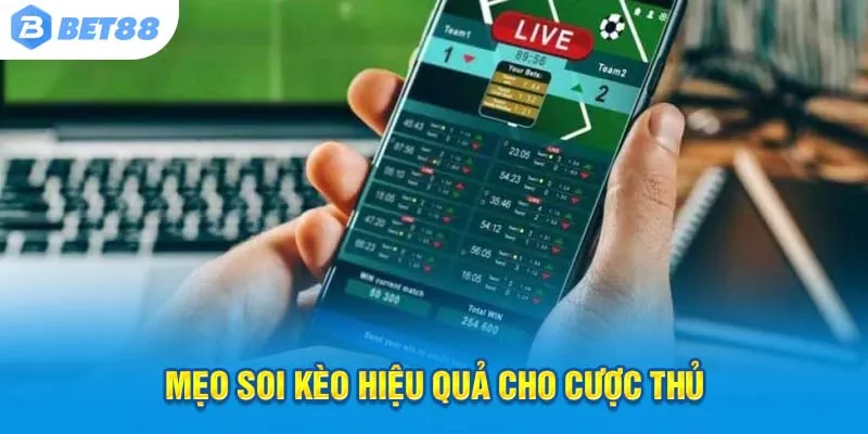 Soi kèo chuẩn, thắng lớn với tỷ lệ kèo!