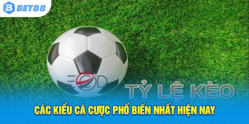 Đa dạng kèo hấp dẫn – Cơ hội thắng lớn đang chờ bạn!