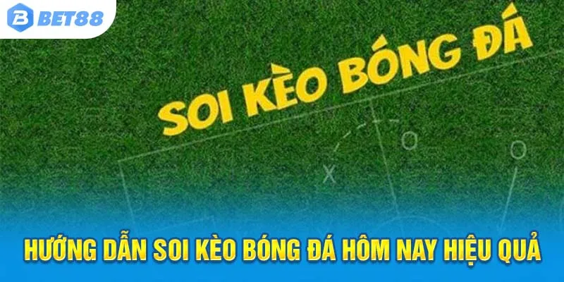 Nhận định chính xác, thắng cược nhanh!